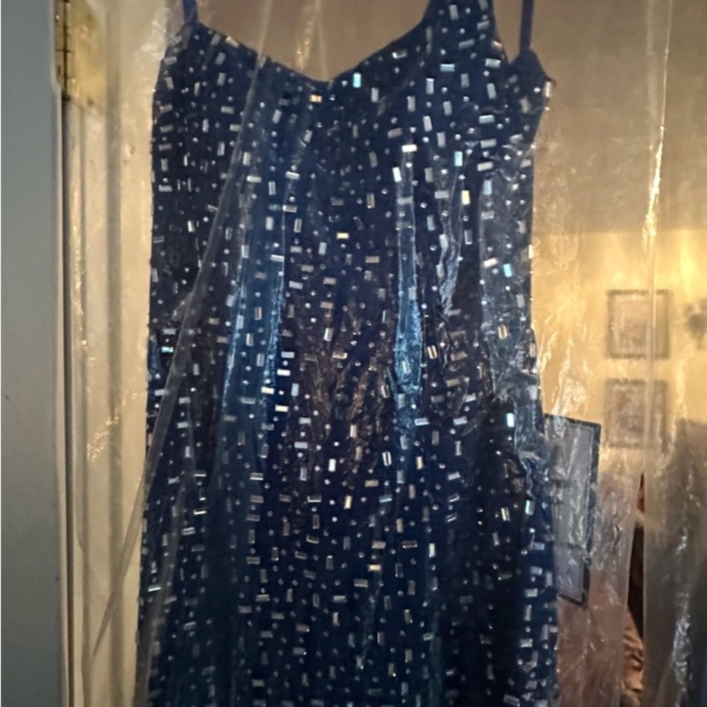 Blue Sequin Dress or  $100 (one )
. Junior size 14-15